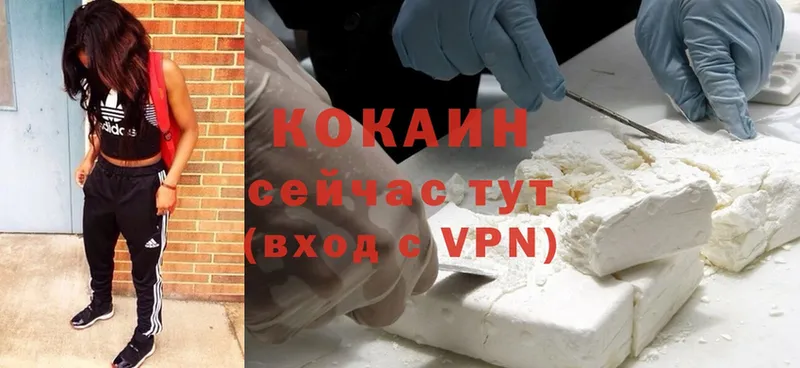 наркота  Подпорожье  гидра   Cocaine Fish Scale 